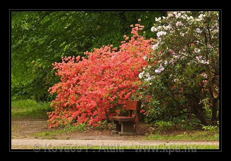 Jeli_Arboretum_033.jpg