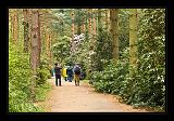 Jeli_Arboretum_049