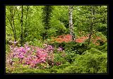 Jeli_Arboretum_076