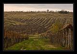 Villany_011