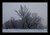 Visegrad_078