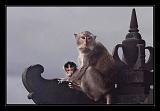 Bali_126