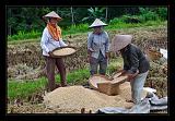 Bali_196