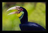Bali_318