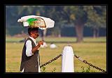 Delhi_078