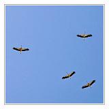 Fes_Marocco_019