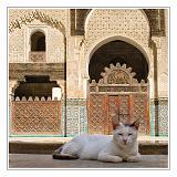 Fes_Marocco_030