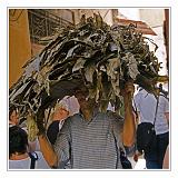 Fes_Marocco_063