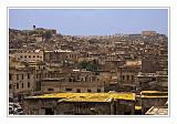 Fes_Marocco_068