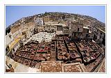 Fes_Marocco_075