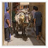 Fes_Marocco_082