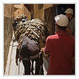 Fes_Marocco_088