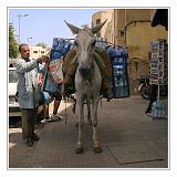 Fes_Marocco_092
