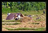 Lombok_Indonesia_042