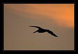 San_Francisco_149