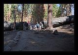 Yosemite_NP_USA_020
