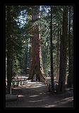 Yosemite_NP_USA_043