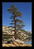 Yosemite_NP_USA_080