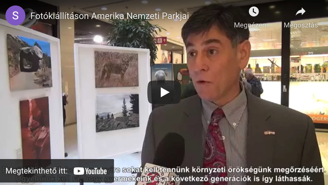 A videó nyitóképe
